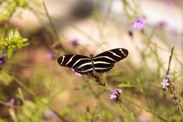 Similar image 13105805