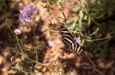 Similar image 13105806