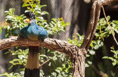 Similar image 13099657