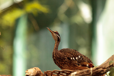 Similar image 13105584