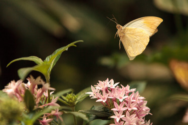 Similar image 13105585