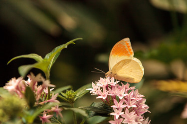 Similar image 13105586