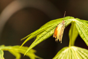 Similar image 13105612