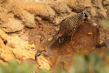 Similar image 13105628