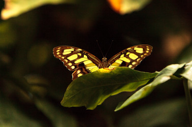 Similar image 13105629