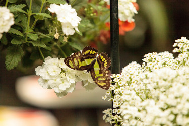 Similar image 13105669