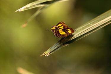 Similar image 13105672