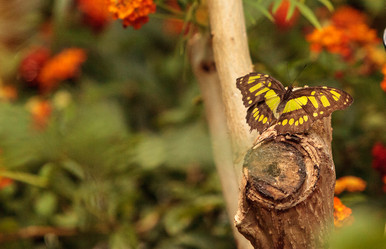 Similar image 13105689