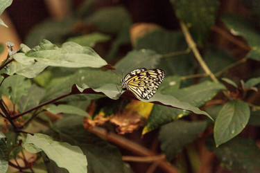 Similar image 13105722