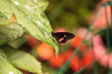 Similar image 13105727