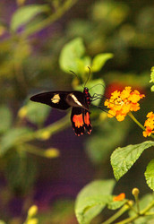 Similar image 13105747