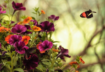 Similar image 13105748