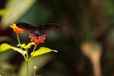 Similar image 13105750