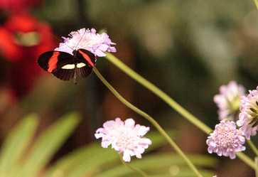 Similar image 13105765