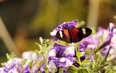 Similar image 13105768