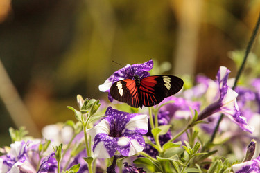 Similar image 13105789