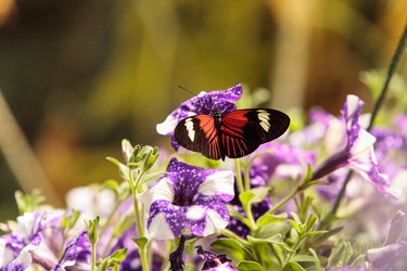 Similar image 13105790