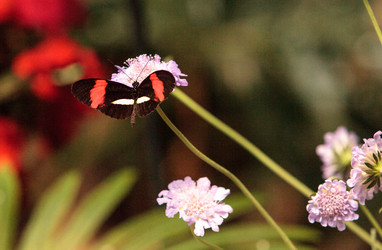 Similar image 13105808