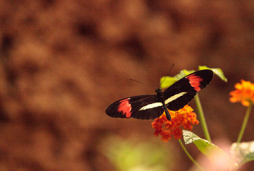 Similar image 13105809