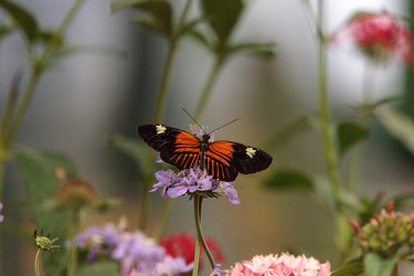 Similar image 13105812