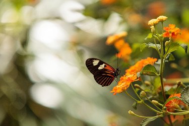 Similar image 13105827