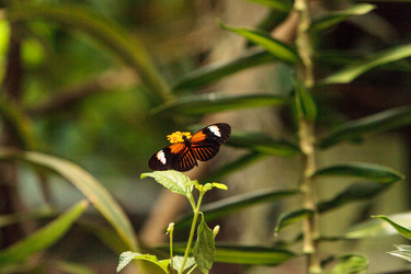 Similar image 13105842