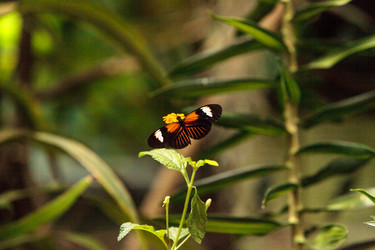 Similar image 13105844