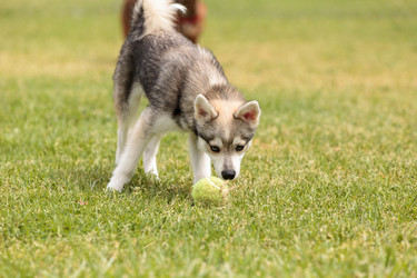 Similar image 13082627