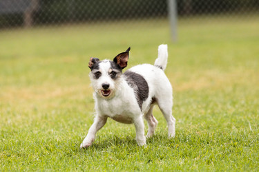 Similar image 13082629