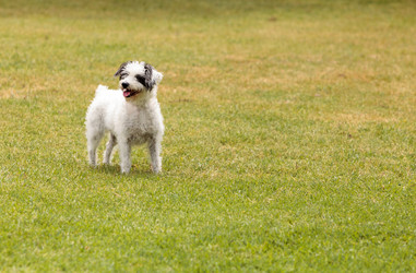 Similar image 13099561