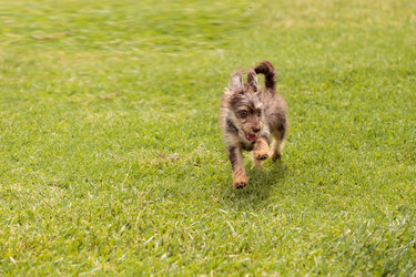 Similar image 13099562