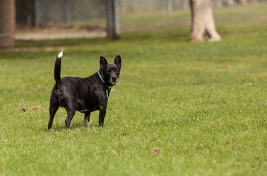 Similar image 13099607