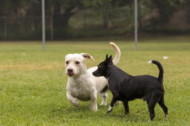 Similar image 13099658