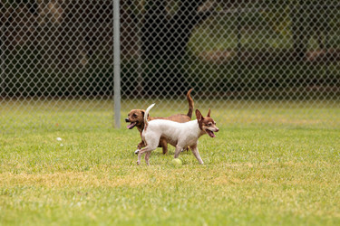 Similar image 13099659