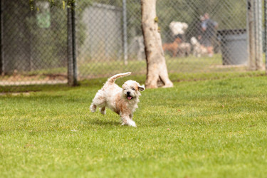 Similar image 13099661