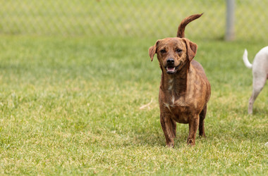 Similar image 13105564