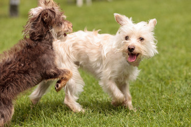 Similar image 13105588