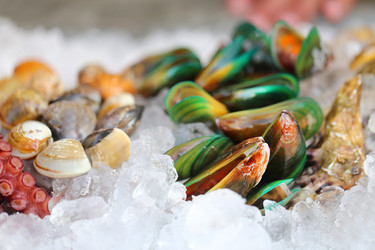 Similar image 13078268