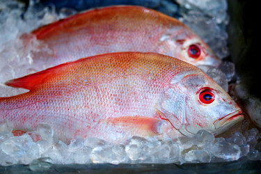 Similar image 13078269