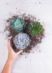 Similar image 13088473