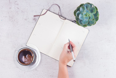 Similar image 13088753