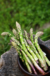 Similar image 13079666