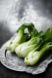 Similar image 13079675