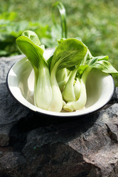 Similar image 13079676