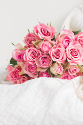 Similar image 13089153