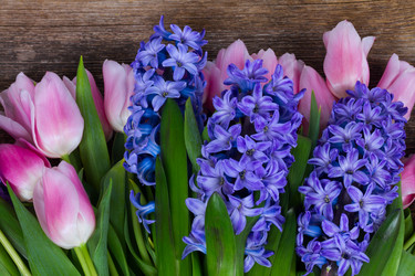 Similar image 13088846