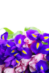 Similar image 13088974