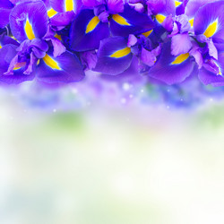 Similar image 13088996