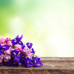 Similar image 13089015