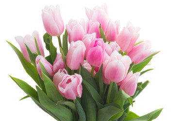 Similar image 13089016